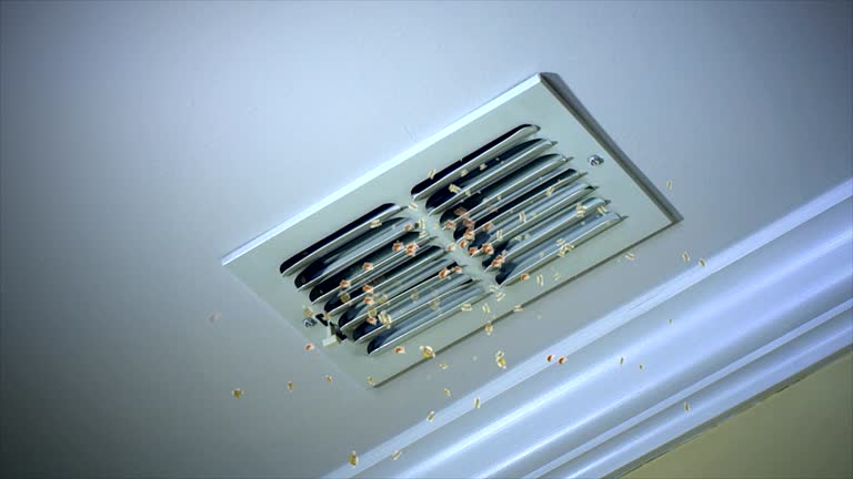 Home Air Vent Cleaning in IL