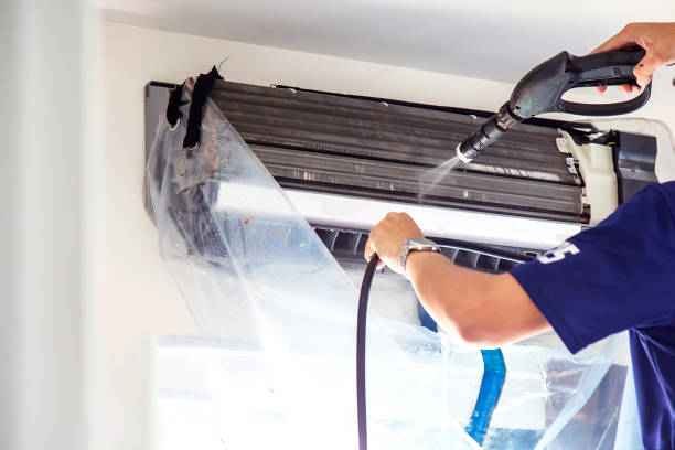 Best Professional Duct Cleaning Services  in Dunlap, IL