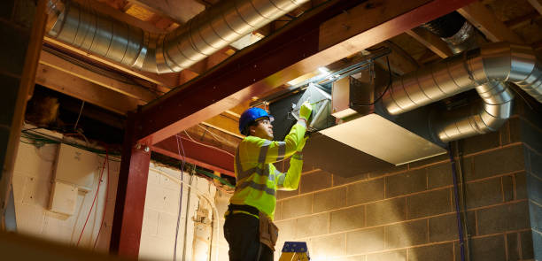 Best Professional Duct Cleaning Services  in Dunlap, IL