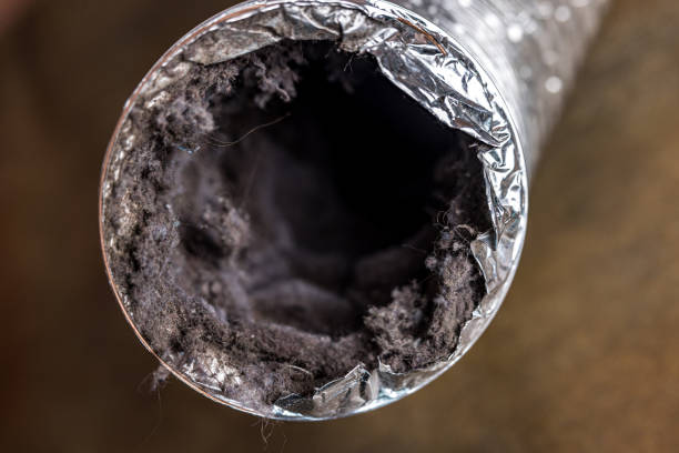 Best Best Air Duct Cleaning Company  in Dunlap, IL