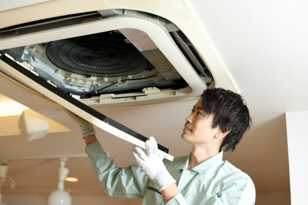 Best Home Air Vent Cleaning  in Dunlap, IL